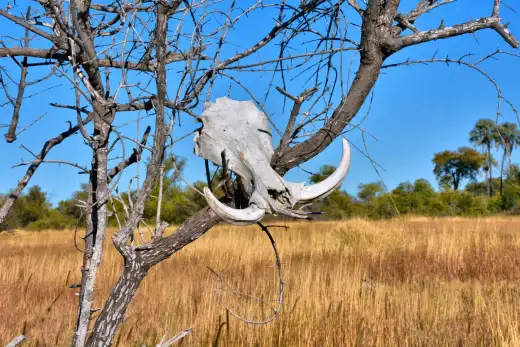 Botswana
