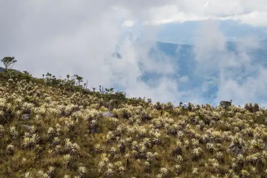 Colombia