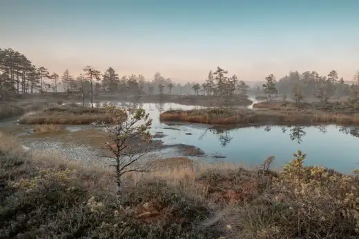 Estonia