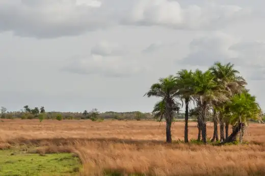 Guinea-Bissau