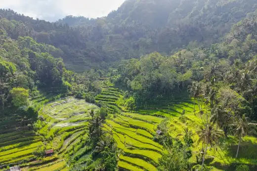 Indonesia