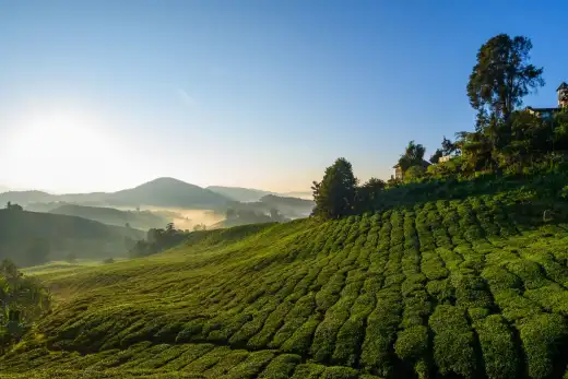 Malaysia