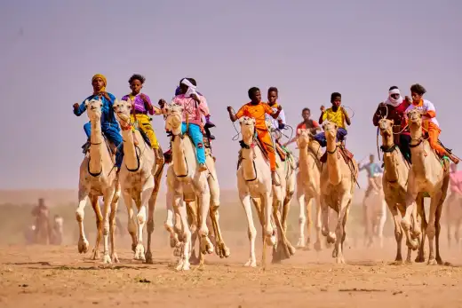 The Aïr and the Edge of the Ténéré