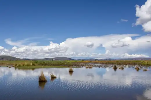 Peru