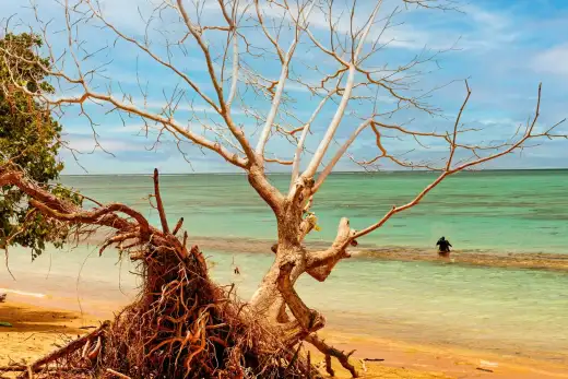 Samoa