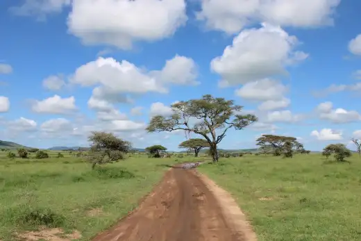 Tanzania